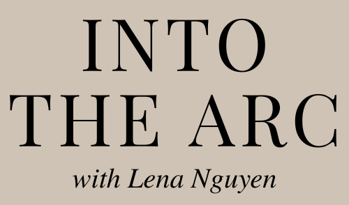 Into the Arc Lena Nguyen